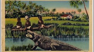Black children as Alligator Bait: A Forgotten Chapter of American Racism