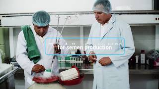 Biotechnology : Changing lives in Asia-Pacific |National Livestock Breeding Center, Nepal