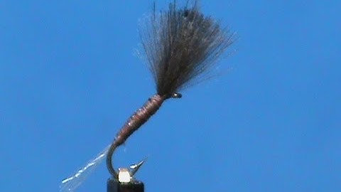 Fly Tying a Hanging Midge with Jim Misiura