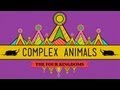 Complex Animals: Annelids & Arthropods - CrashCourse Biology #23