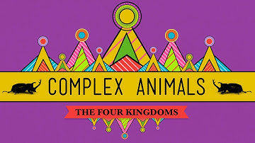 Complex Animals: Annelids & Arthropods - CrashCourse Biology #23