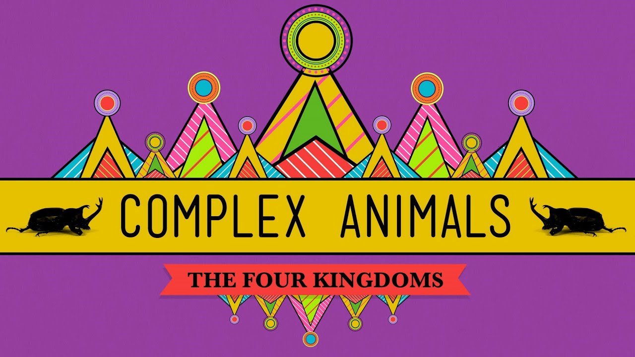 ⁣Complex Animals: Annelids & Arthropods - CrashCourse Biology #23