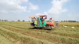 BEST IN THE  BEST KUBOTA HARVESTER  5#automobile #agriculture
