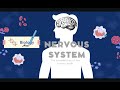 Understanding the Nervous System