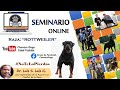 ROTTWEILER | SEMINARIO ONLINE | FEAT. DR. LUIS LUIS | #CHEVEREDOGS