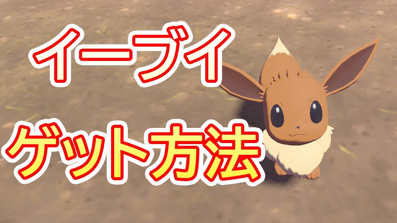 実は最序盤でゲットできる！？イーブイ出現場所公開！【ポケモン
