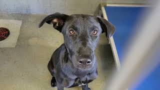 acs A688412