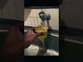 Bhai tu dely gym kyu jata hai