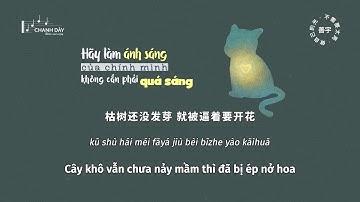 [Vietsub] Hãy làm ánh sáng của chính mình, không cần phải quá sáng (做自己的光，不需要太亮) - Thiện Vũ (善宇)
