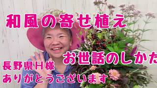 秋の寄せ植え和風プランツギャザリング【お世話のしかた】長野県H様ありがとうございます