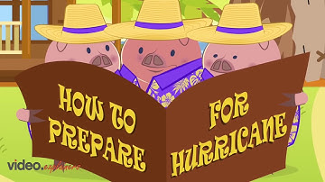 How to Prepare for a Hurricane in Hawaii | Zephyr Insurance Company Inc.