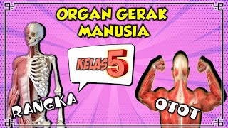 ORGAN GERAK MANUSIA || OTOT DAN TULANG || KELAS 5 SD