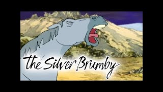 The Silver Brumby - Chasing the Wind (HD - Full Episode) Cartoons Animals For Kids