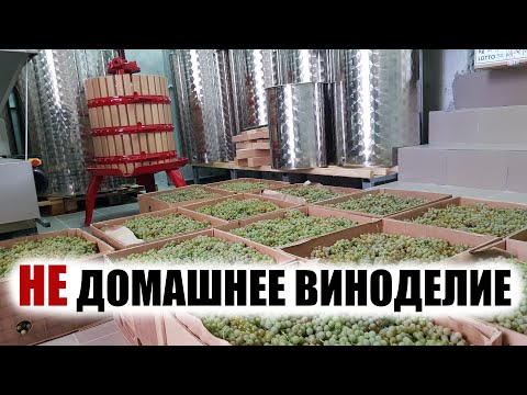 Видео: После сбора винограда: роли зимнего виноделия