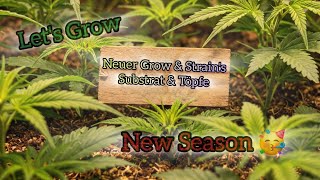 Cannabis Grow & Neuer Run | THE HOOKAH GROW | ChillWelten | Let's Grow | #nachtfalterag #420germany