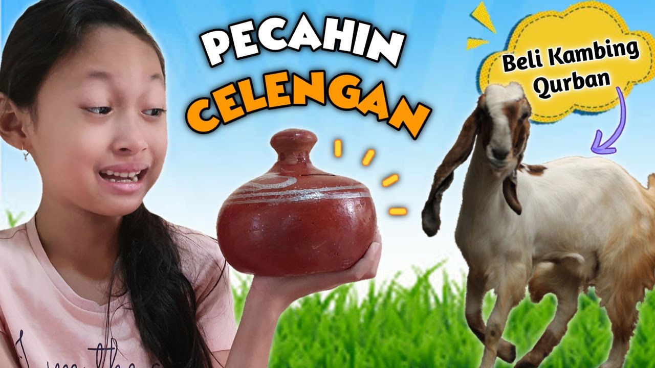  Pecah  Celengan  Buat Beli Kambing Kurban  Idul Adha 1441 H 