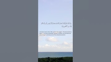 داستان خلقت آدم از سوره بقره (30 - 38) - تلاوت انگلیسی