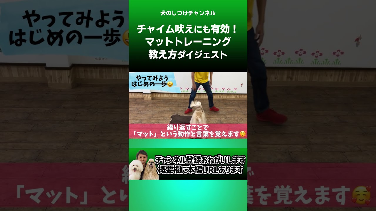 マットトレーニングをしよう！チャイム吠えなどに効果的です