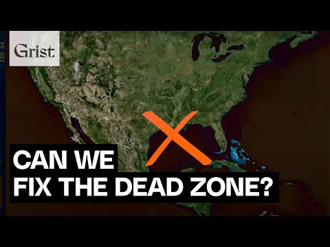 The Gulf of Mexico&#039;s dead zone, explained