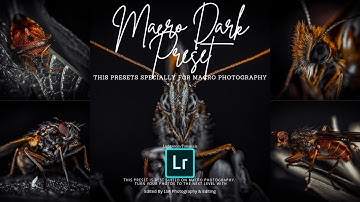 How to Edit Urban Macro Preset - Lightroom Mobile Tutorial | Free Preset DNG & XMP
