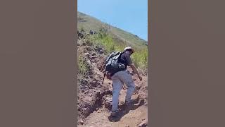 there is no cure for the lincing path