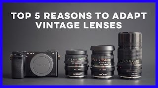 Top 5 Reasons To Adapt Vintage Lenses