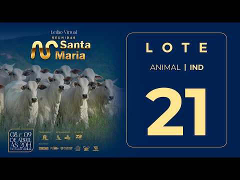 LOTE 21 FSM A2992