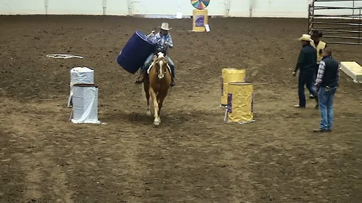 Equine Affaire VHRC 2019 Ohio Badger Loretta Weber