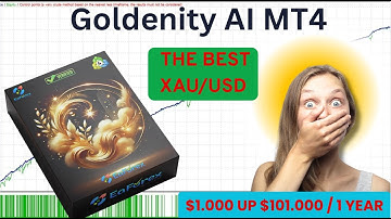 Goldenity AI MT4 +Setting + Review | Profit: $1,000 up $101.000 / 1 Year | EA Forex Store