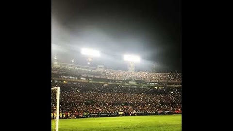 Tigres vs Pachuca 3 - 0 | muchachos canten con el corazon | libres y lokos | luces del volcan
