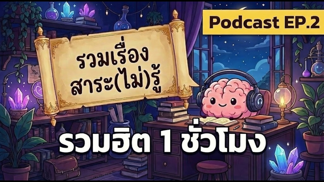 รวมสาระ(ไม่)รู้  1 ชั่วโมงเต็ม! ฟังยาวๆ ก่อนนอน 😴 | สาระ(ไม่)รู้ Podcast EP.2 (สัปดาห์ที่ 2)