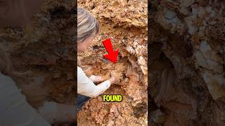 She Found a Crystal Hidden in the Mud 😳💎