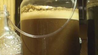 IPA Brew Fermenting