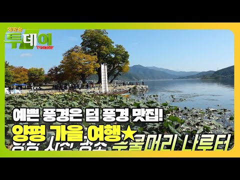 ‘양평 두물머리’ <strong>멋진</strong> <strong>풍경</strong> 아래 쌓여가는 소중한 추억★ #생방송투데이 #LiveToday #SBSstory