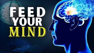 Feed Your Mind for SUCCESS