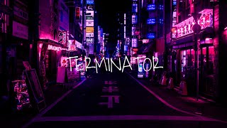 TERMINATOR NEW REMIX || KING PROMISE