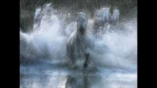 Watch Margaret Becker Horses video