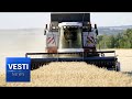 Medvedev Visits the Regions: Russia’s Agricultural Industry Has Grown By Leaps and