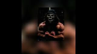 vuki vu vuki vu phonk