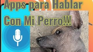 Apps para hablar con los perros screenshot 1