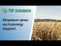 Мировые цены на пшеницу падают | TOP Agrobook: обзор аграрных новостей