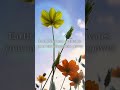 Solar Plexus Chakra Healing Music |    Earth Element Wealth Manifestation &amp; Power 🌍