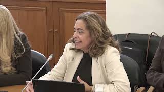 06-05-2026 | Audição da Associação Portuguesa para a Diversidade e Inclusão (APPDI) | Patrícia Faro