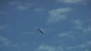 Pelikan Pike Sailplane