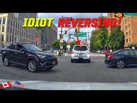 IDIOT REVERSES IN THE MIDDLE OF AN INTERSECTION