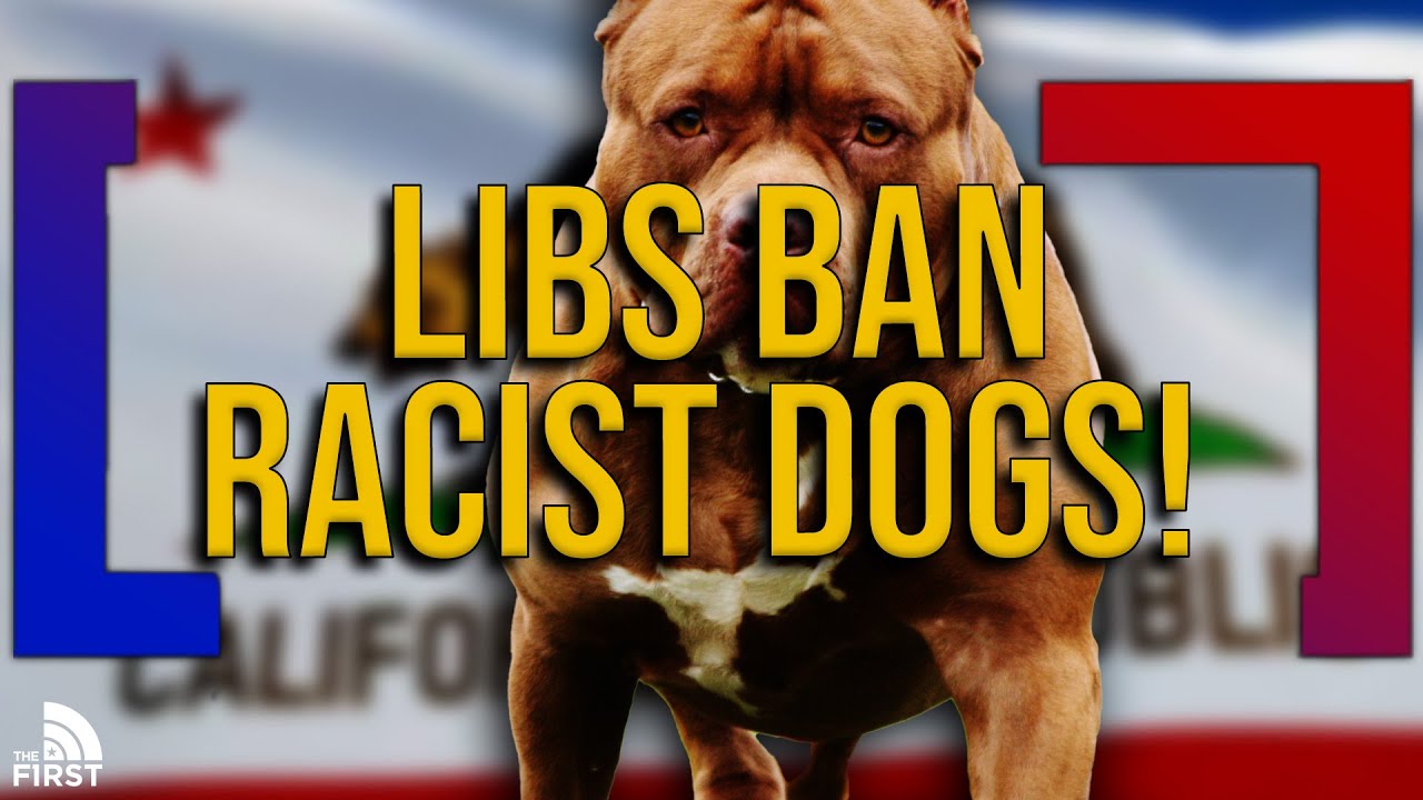 California Bill To Ban Police Dogs Because of Racism? - Bill O'Reilly ...