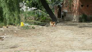 DSC 0511