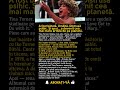 Tina Turner a fugit cu 36 de cenți. Ce a urmat — e istorie!