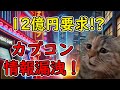 【猫ミーム】カプコン情報漏洩事件の全貌！12億円を要求したハッカー集団の正体とは？