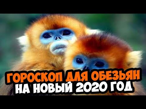 ВОСТОЧНЫЙ ГОРОСКОП НА